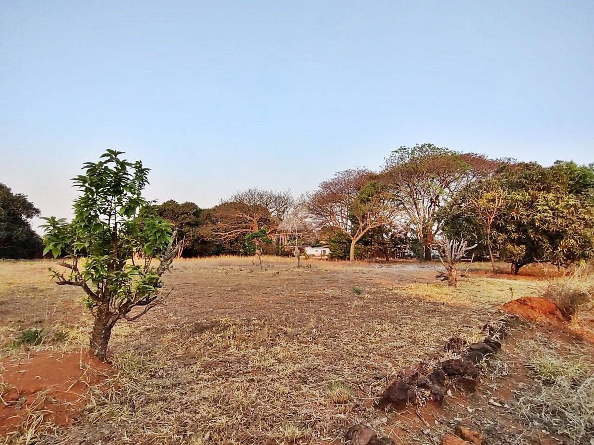 Lote, Brasília/Plano Piloto
