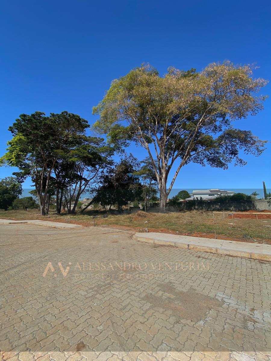 Lote, Park Way