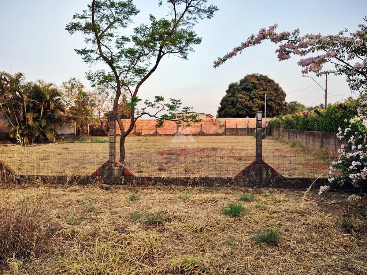 Lote, Brasília/Plano Piloto