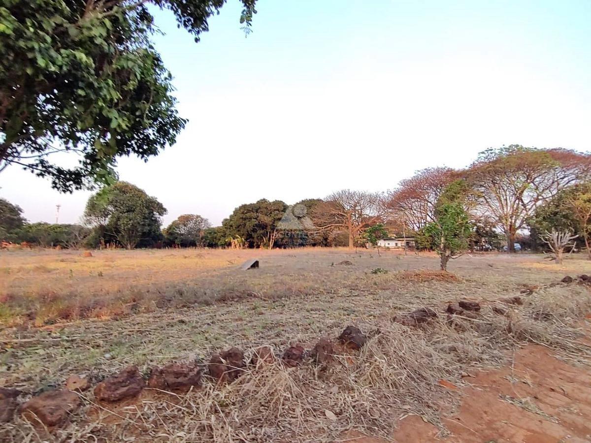 Lote, Brasília/Plano Piloto