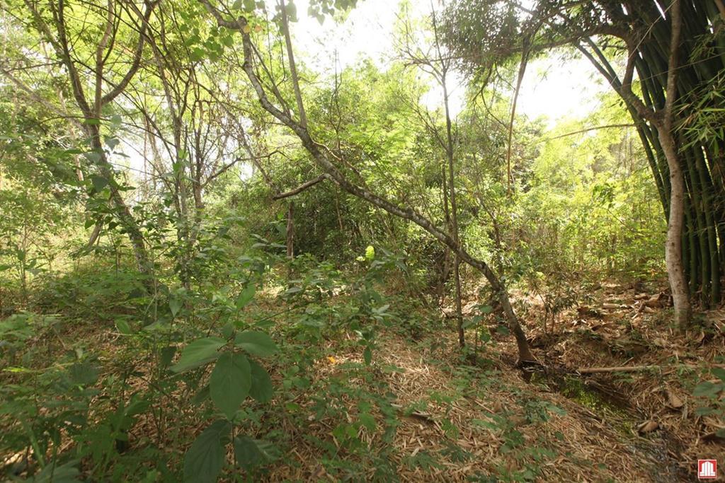 Lote, Setor Habitacional Jardim Botânico, 0 Quarto, 0 Vaga, 0 Suíte