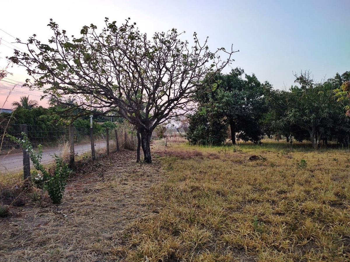 Lote, Brasília/Plano Piloto