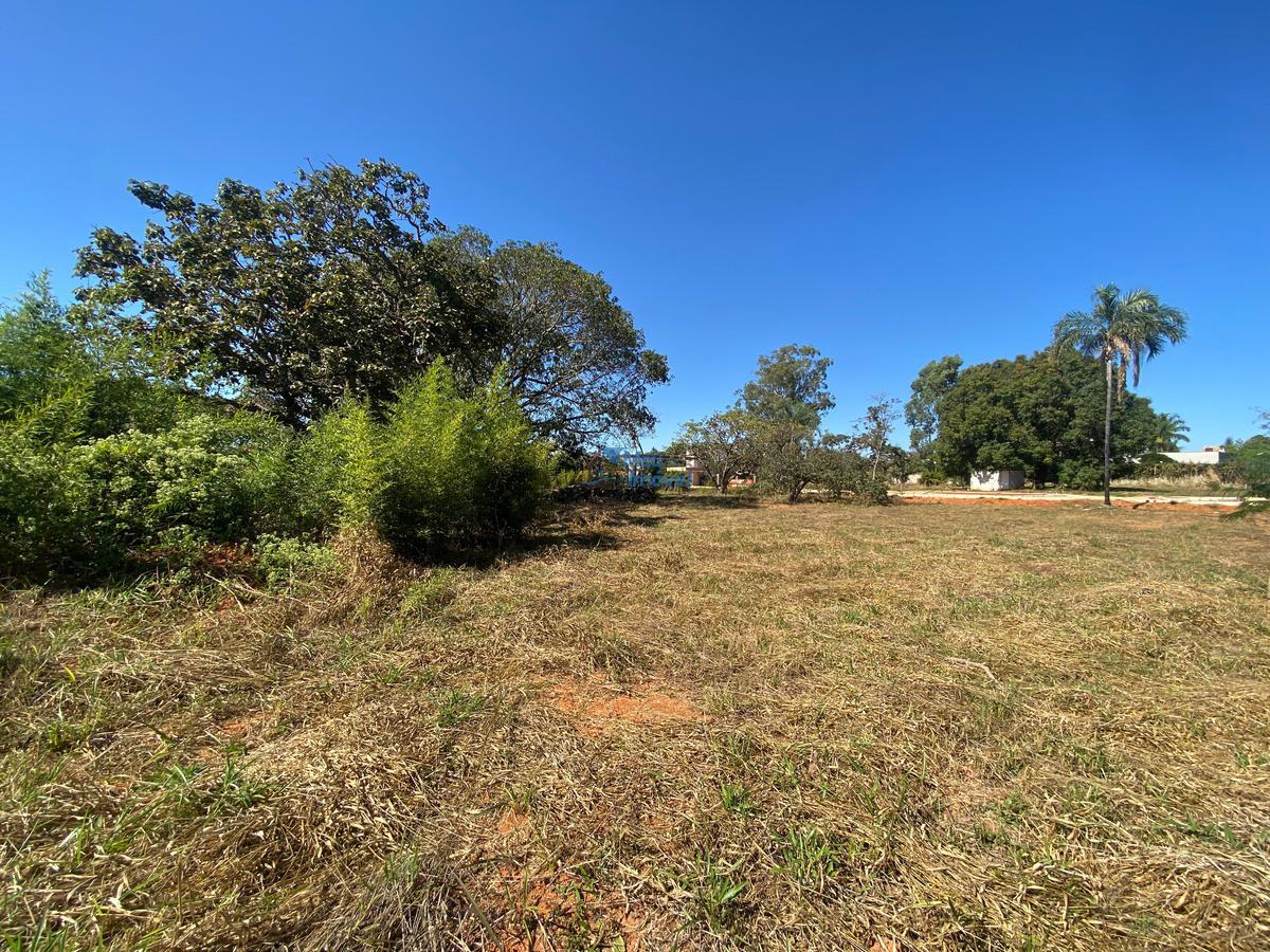 Lote, Park Way