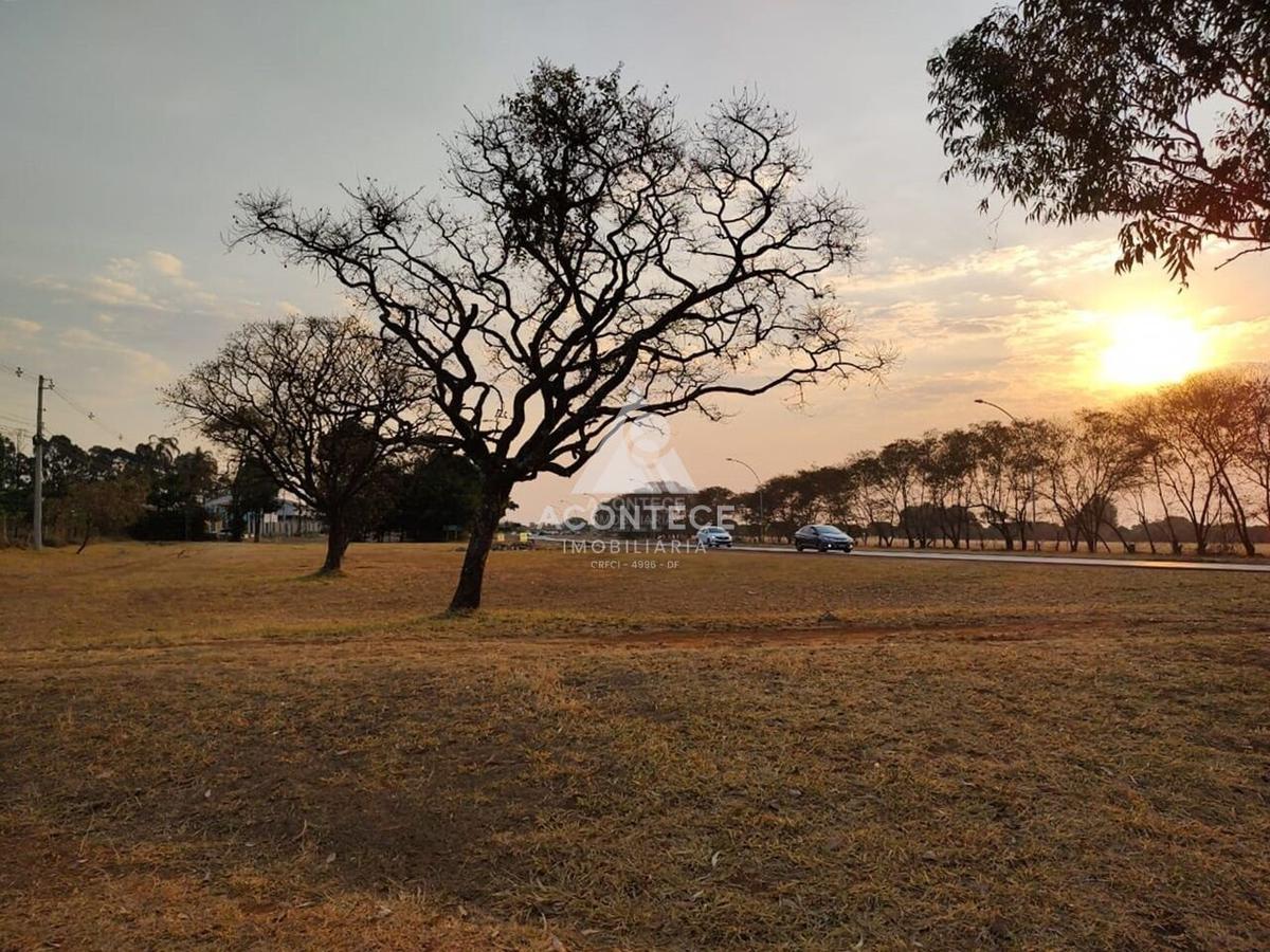 Lote, Brasília/Plano Piloto