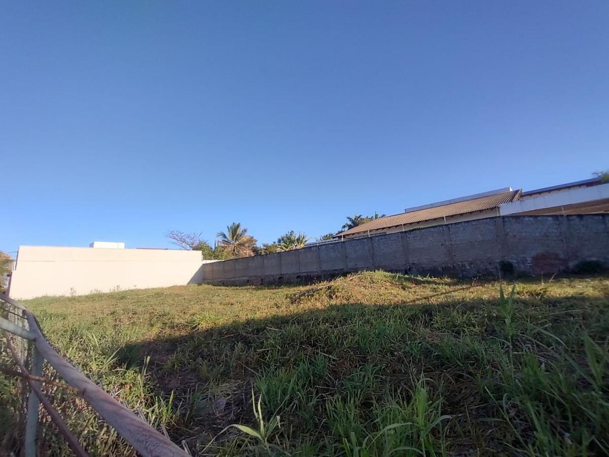 Lote, Lago Norte