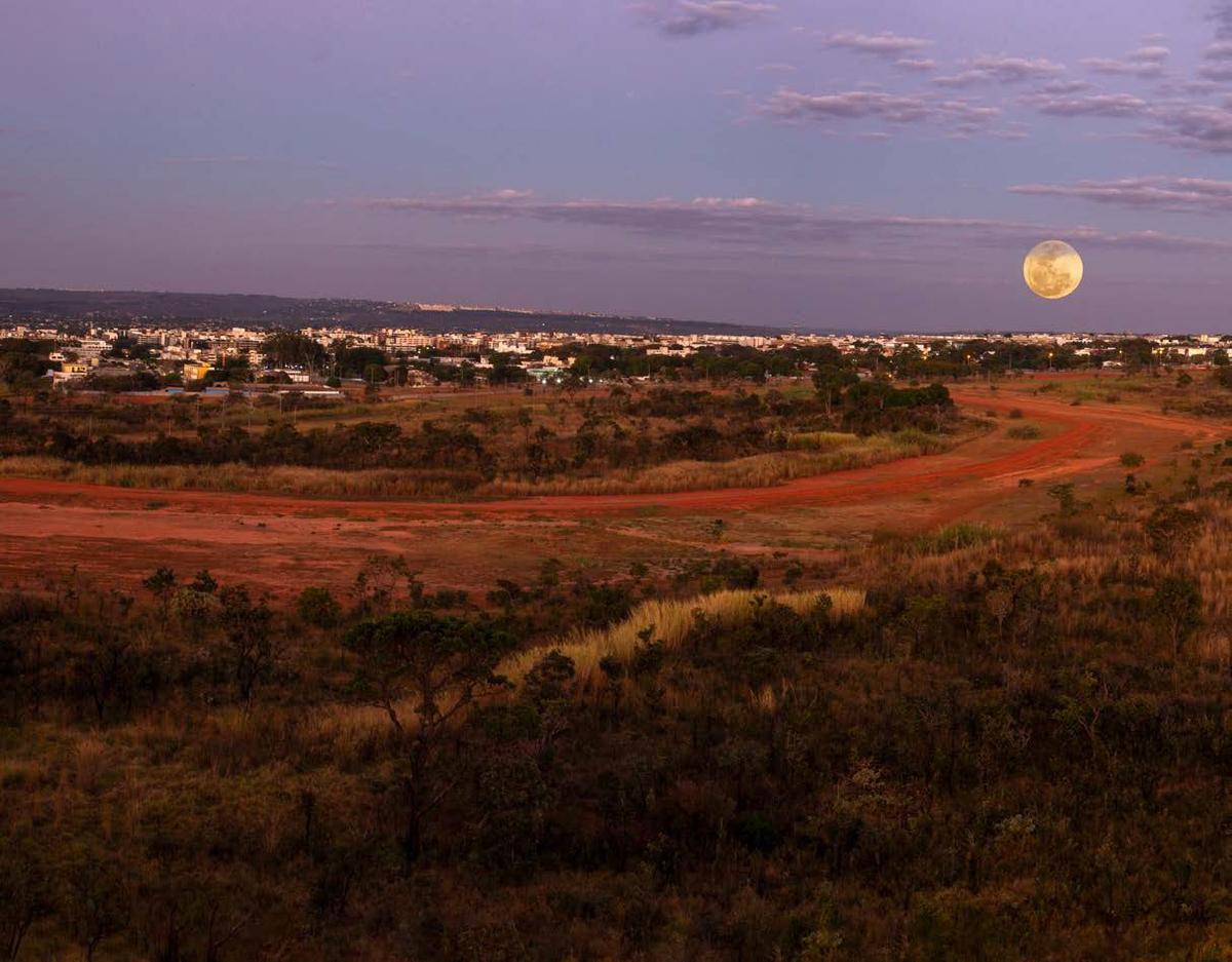 Apartamento, Noroeste, 4 Quartos, 4 Vagas, 4 Suítes