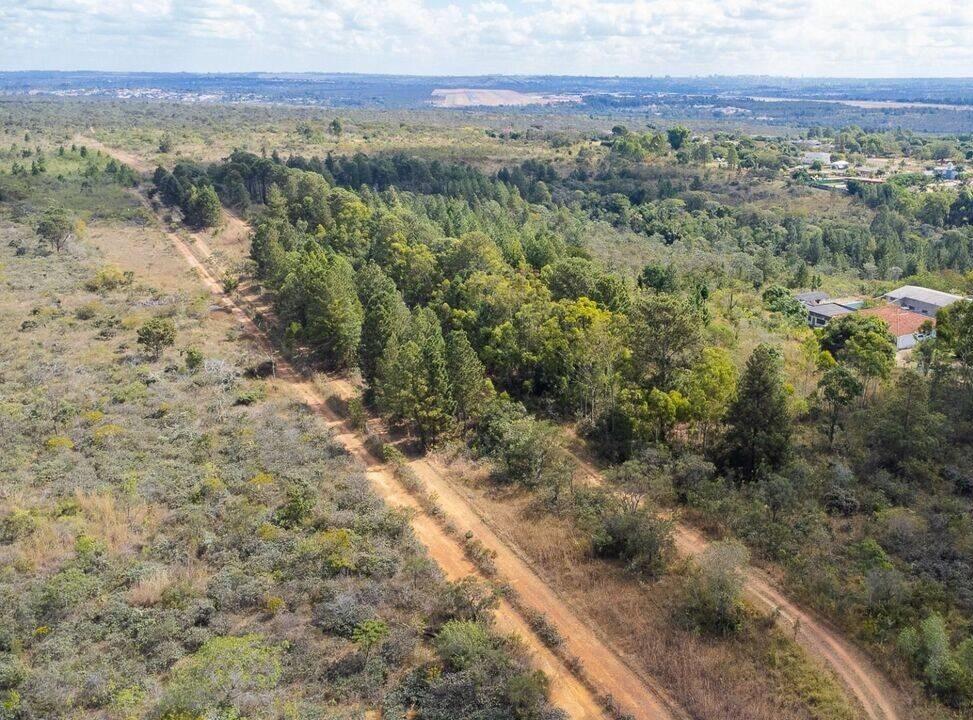 Lote, Brasília/Plano Piloto