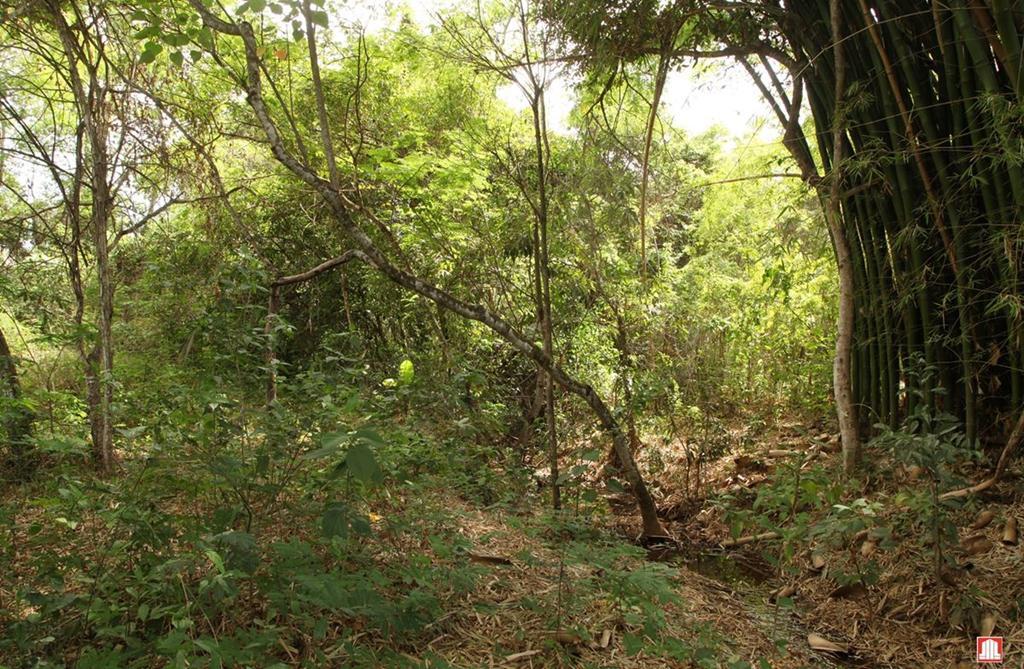 Lote, Setor Habitacional Jardim Botânico, 0 Quarto, 0 Vaga, 0 Suíte