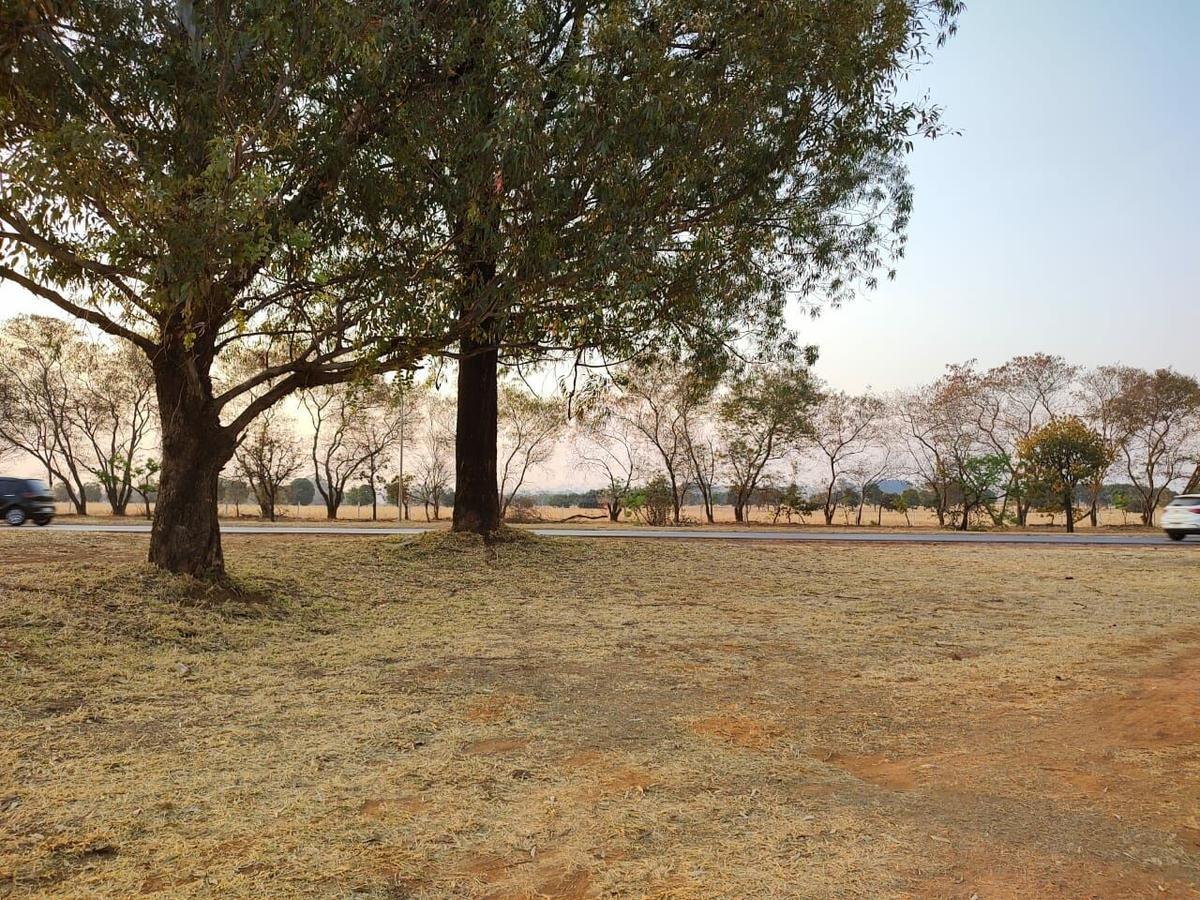 Lote, Brasília/Plano Piloto