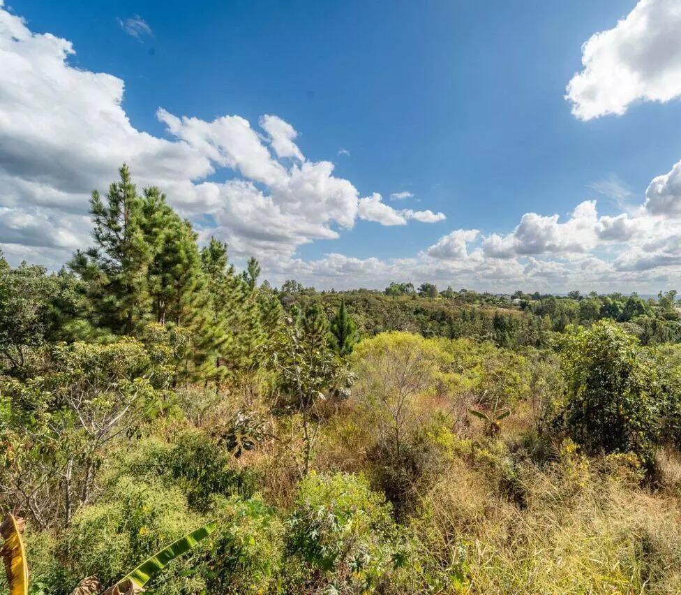 Lote, Brasília/Plano Piloto