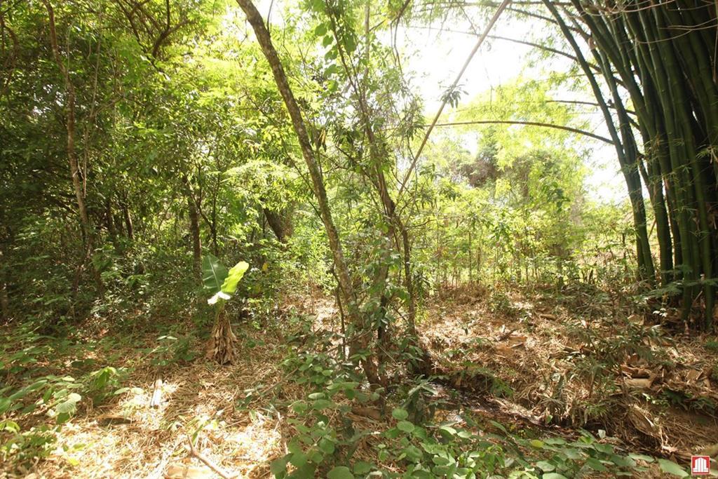 Lote, Setor Habitacional Jardim Botânico, 0 Quarto, 0 Vaga, 0 Suíte