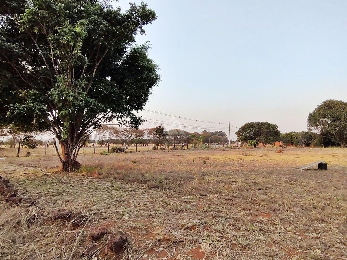 Lote, Brasília/Plano Piloto