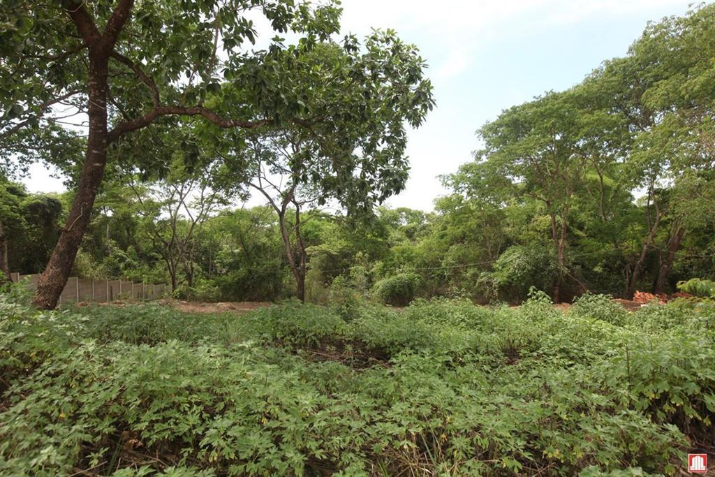 Lote, Setor Habitacional Jardim Botânico, 0 Quarto, 0 Vaga, 0 Suíte