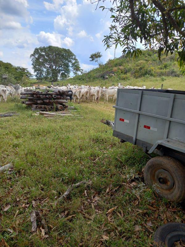 Fazenda, 2 Quartos, 2 Suítes