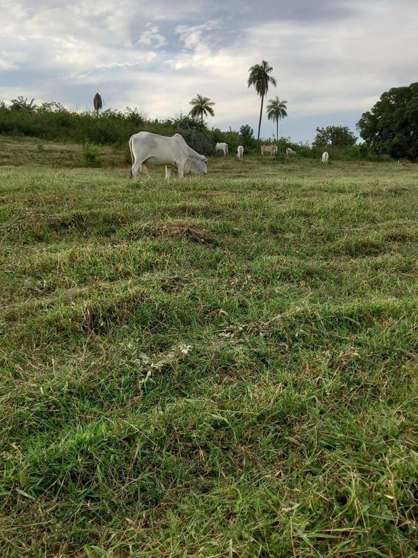 Fazenda, 2 Quartos, 2 Suítes
