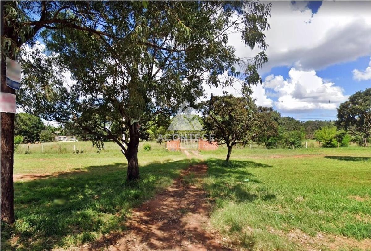 Lote, Brasília/Plano Piloto