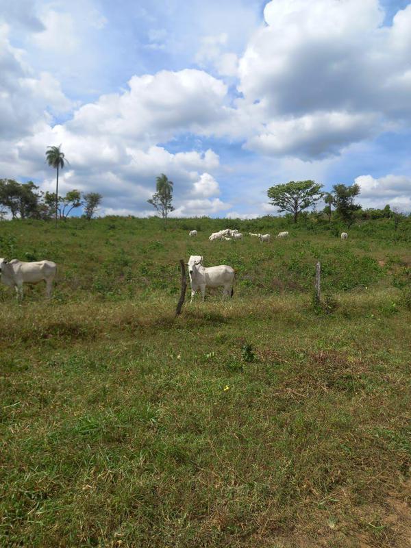 Fazenda, 2 Quartos, 2 Suítes