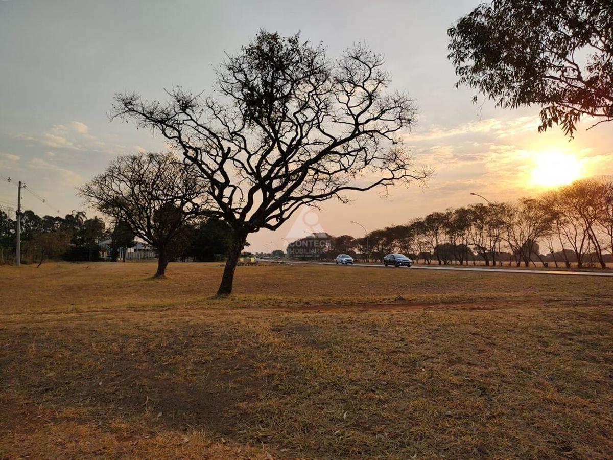 Lote, Brasília/Plano Piloto