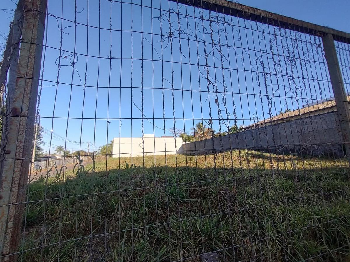 Lote, Lago Norte