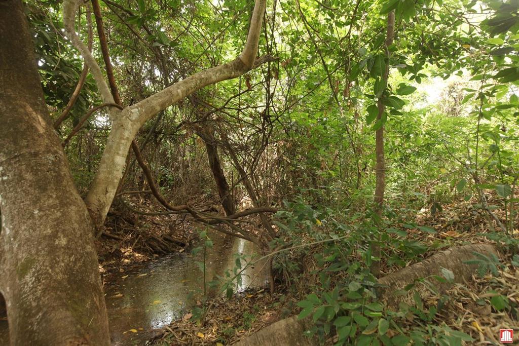 Lote, Setor Habitacional Jardim Botânico, 0 Quarto, 0 Vaga, 0 Suíte