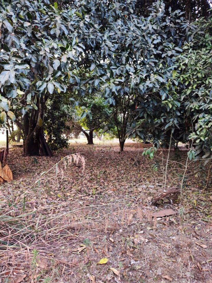 Lote, Brasília/Plano Piloto