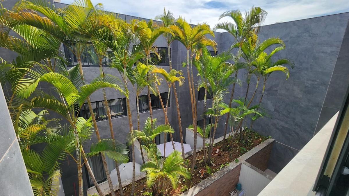 Apartamento, Noroeste